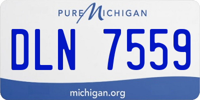 MI license plate DLN7559