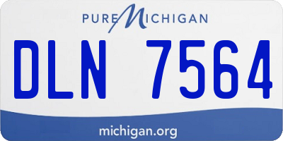 MI license plate DLN7564