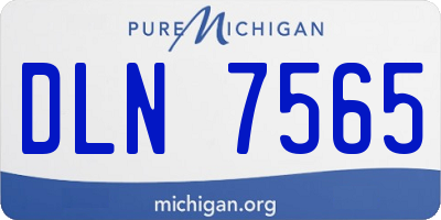 MI license plate DLN7565