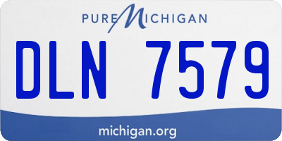 MI license plate DLN7579