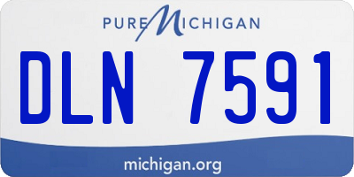 MI license plate DLN7591