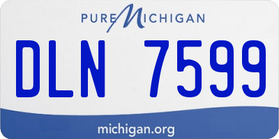 MI license plate DLN7599