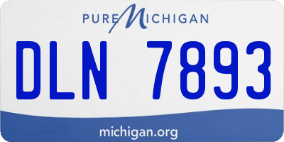 MI license plate DLN7893