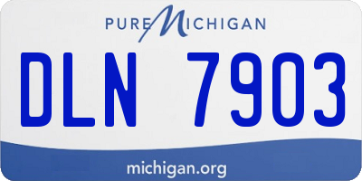 MI license plate DLN7903