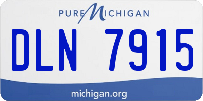 MI license plate DLN7915