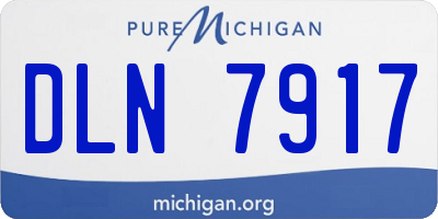 MI license plate DLN7917