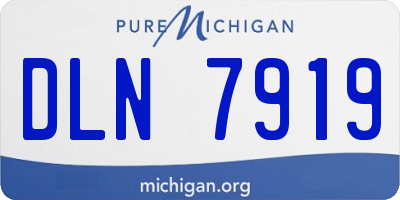 MI license plate DLN7919