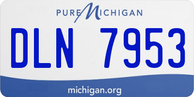 MI license plate DLN7953