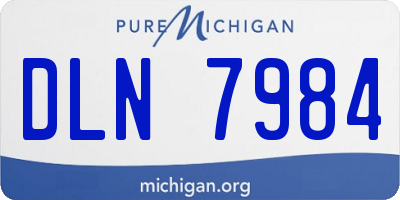 MI license plate DLN7984