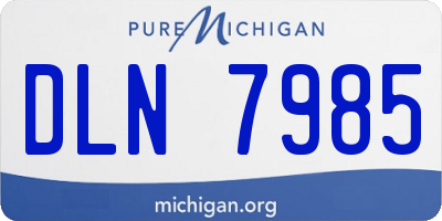 MI license plate DLN7985