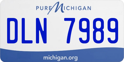 MI license plate DLN7989