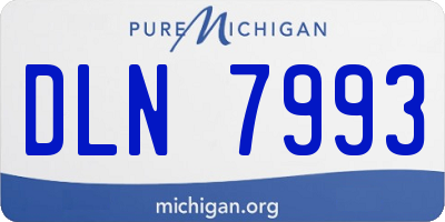 MI license plate DLN7993