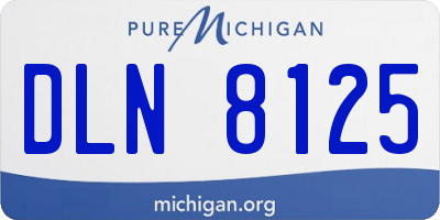 MI license plate DLN8125