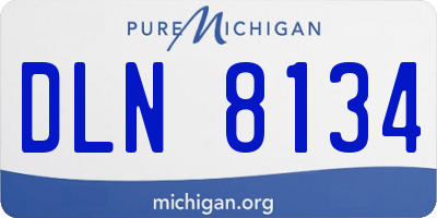MI license plate DLN8134