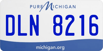 MI license plate DLN8216