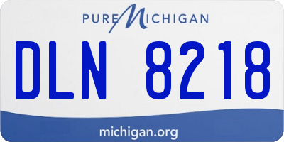 MI license plate DLN8218