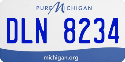 MI license plate DLN8234