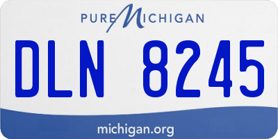 MI license plate DLN8245