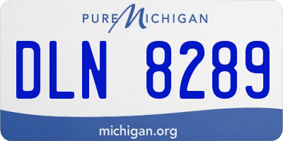 MI license plate DLN8289