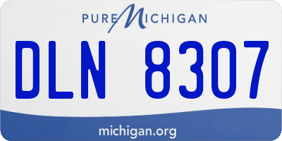 MI license plate DLN8307