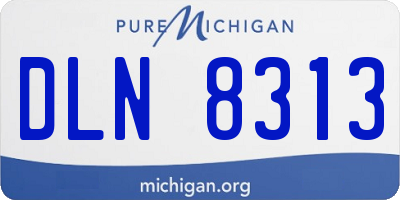 MI license plate DLN8313