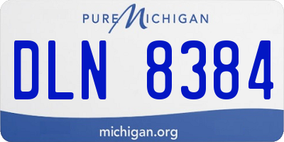 MI license plate DLN8384