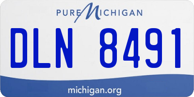 MI license plate DLN8491