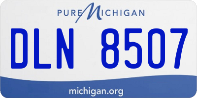 MI license plate DLN8507