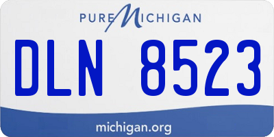 MI license plate DLN8523