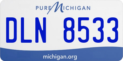 MI license plate DLN8533