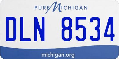 MI license plate DLN8534