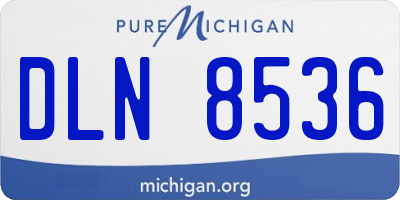 MI license plate DLN8536