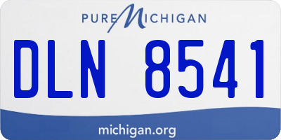 MI license plate DLN8541