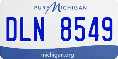 MI license plate DLN8549