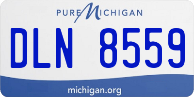 MI license plate DLN8559
