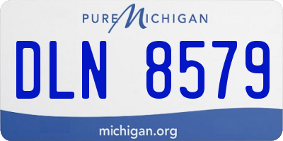 MI license plate DLN8579