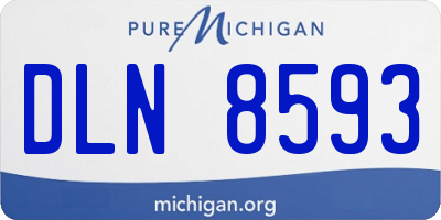MI license plate DLN8593