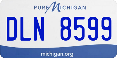 MI license plate DLN8599