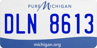 MI license plate DLN8613