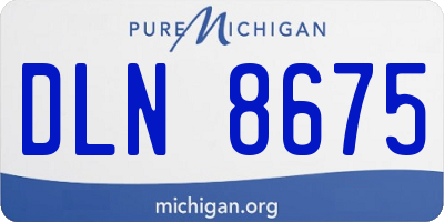 MI license plate DLN8675