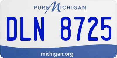 MI license plate DLN8725