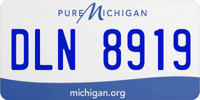 MI license plate DLN8919
