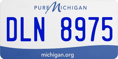 MI license plate DLN8975