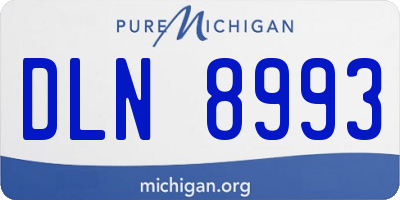 MI license plate DLN8993