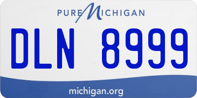 MI license plate DLN8999