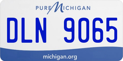 MI license plate DLN9065