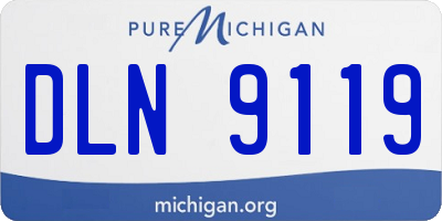MI license plate DLN9119