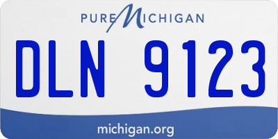 MI license plate DLN9123