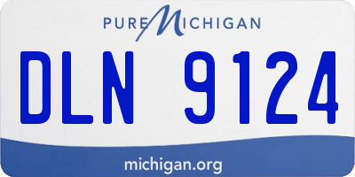 MI license plate DLN9124