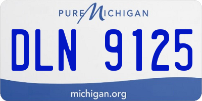 MI license plate DLN9125